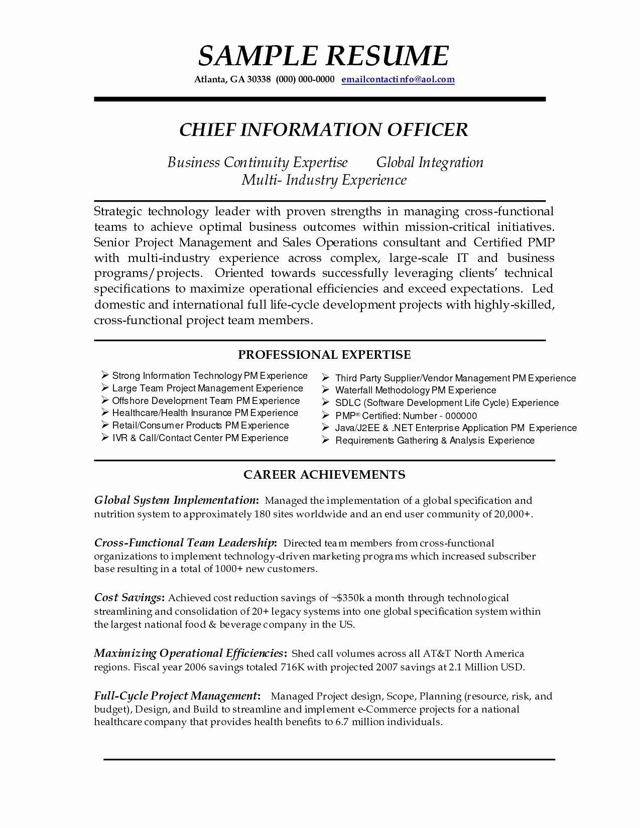 Resume Summaries Examples Photos